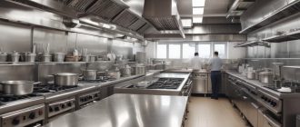 Профессиональные посудомоечные машины для ресторанов: обзор типов, характеристик и критериев выбора